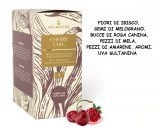 CHERRY CHIC x 20 Pz.ATLANTIDE(N.9) [ATLANTIDE255]