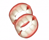 DENTIERE DOPPIE BUSTA FINI x Kg.1 [FINI360]