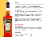 APEROL BARBIERI x Lt.1 [APEROL100]