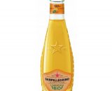 ARANCIATA BIO VETRO SAN PELLEG. Cl.20 x 24 Pz. [SANPELL250]