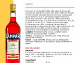 BITTER CAMPARI x Lt.1 [CAMPARI105]