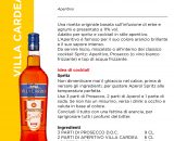 APERITIVO VILLA CARDEA 11% Lt.1 SPRITZ [CELEBRITY100]