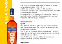 APERITIVO VILLA CARDEA 11% Lt.1 SPRITZ [CELEBRITY100]