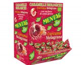 MANGIATOIA SFUSE BIO CURCUMA/MELAGRANA x188 Pz.Gr.750 [FASS150]