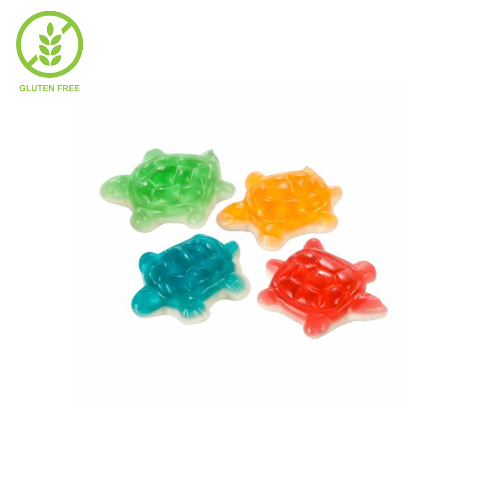 TARTARUGA BUSTA FINI x Kg.1 [FINI435]