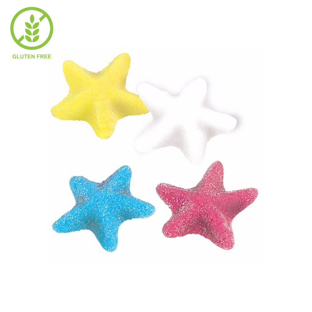 STELLE MARINE BUSTA FINI x Kg.1 [FINI485]